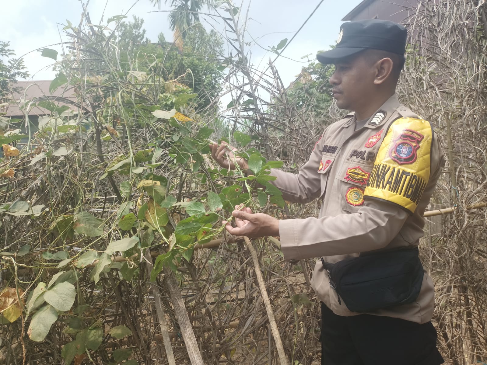 Langkah Kecil Polsek Marikit, Dampak Besar bagi Ketahanan Pangan
