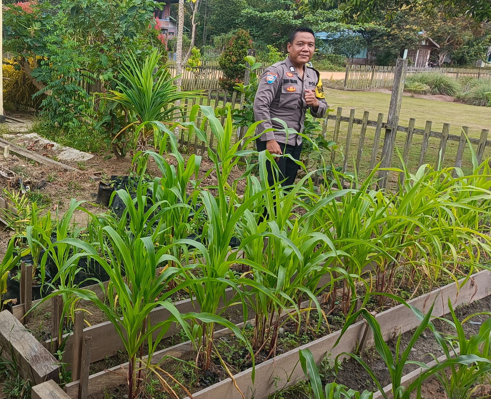 Mendukung Ketahanan Pangan, Personil Polsek Katingan Hulu  Cek Lokasi Pemanfaatan Pekarangan Warga.