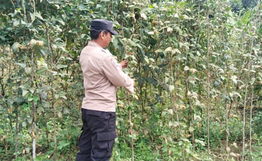 Polsek Tewang Sangalang Garing dan Pulau Malan Imbau Warga Tingkatkan Pemanfaatan Lahan Untuk Ketahanan Pangan
