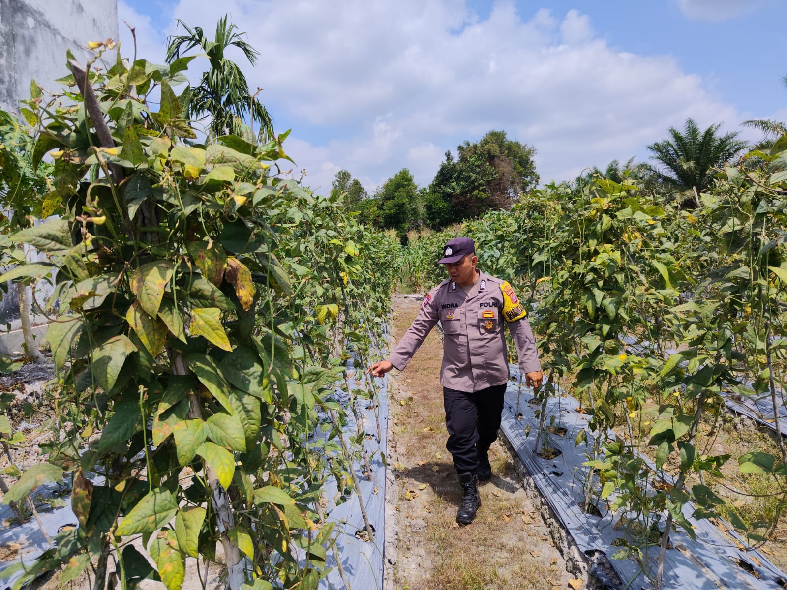 Personel Polsek Tewang Sangalang Garing dan Pulau Malan melaksanakan pengecekan lokasi pemanfaatan lahan pekarangan warga Binaannya