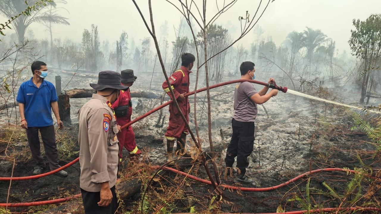 Gerak Cepat Regu Alfa, Karhutla Hampangen Berhasil Dikendalikan