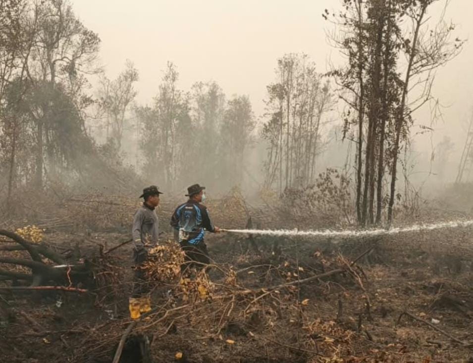 Gempur Api Hingga Tuntas, Personel Bidpropam Polda Kalteng Terus Berjuang Padamkan Kebakaran Lahan di Tanjung Taruna
