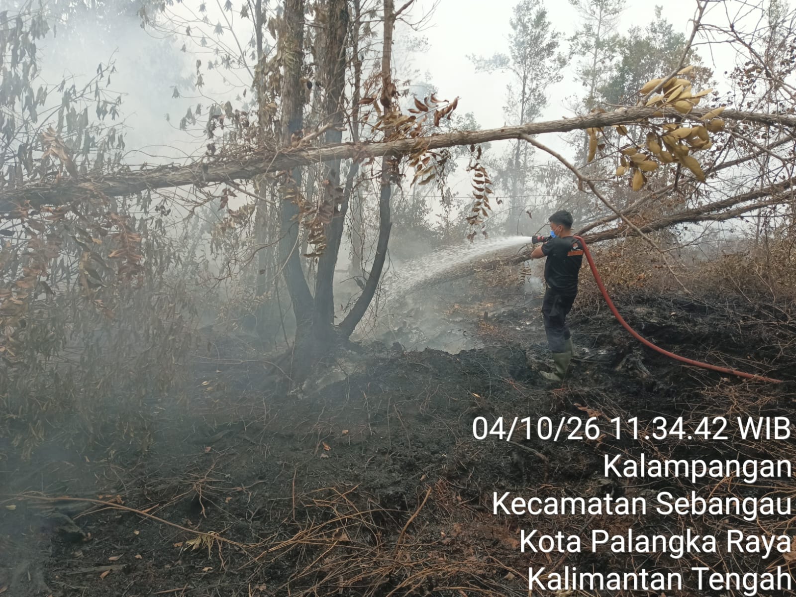Personel Satbrimob Polda Kalteng Terus Lakukan Pemadaman dan Pembasahan Karhutla di Tanjung Taruna