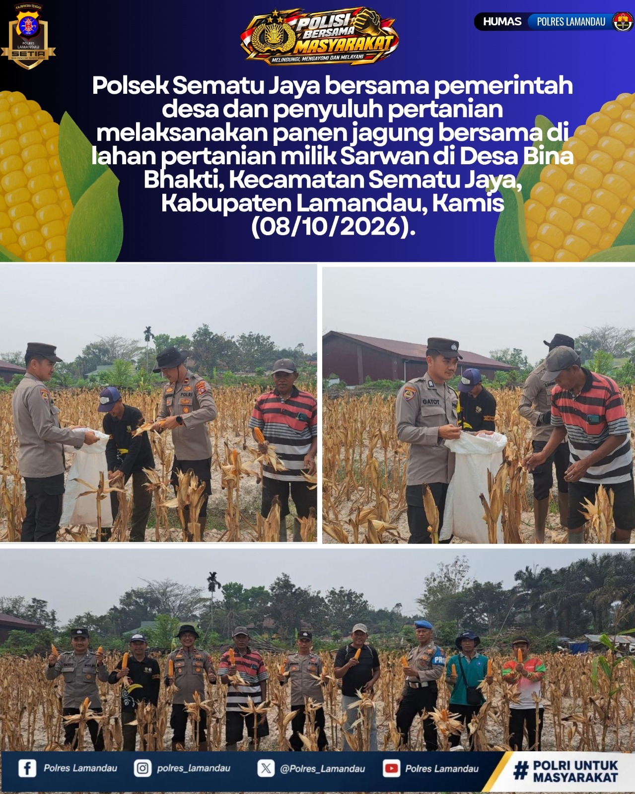 Panen Jagung Bersama, Polsek Sematu Jaya Dukung Swasembada Pangan