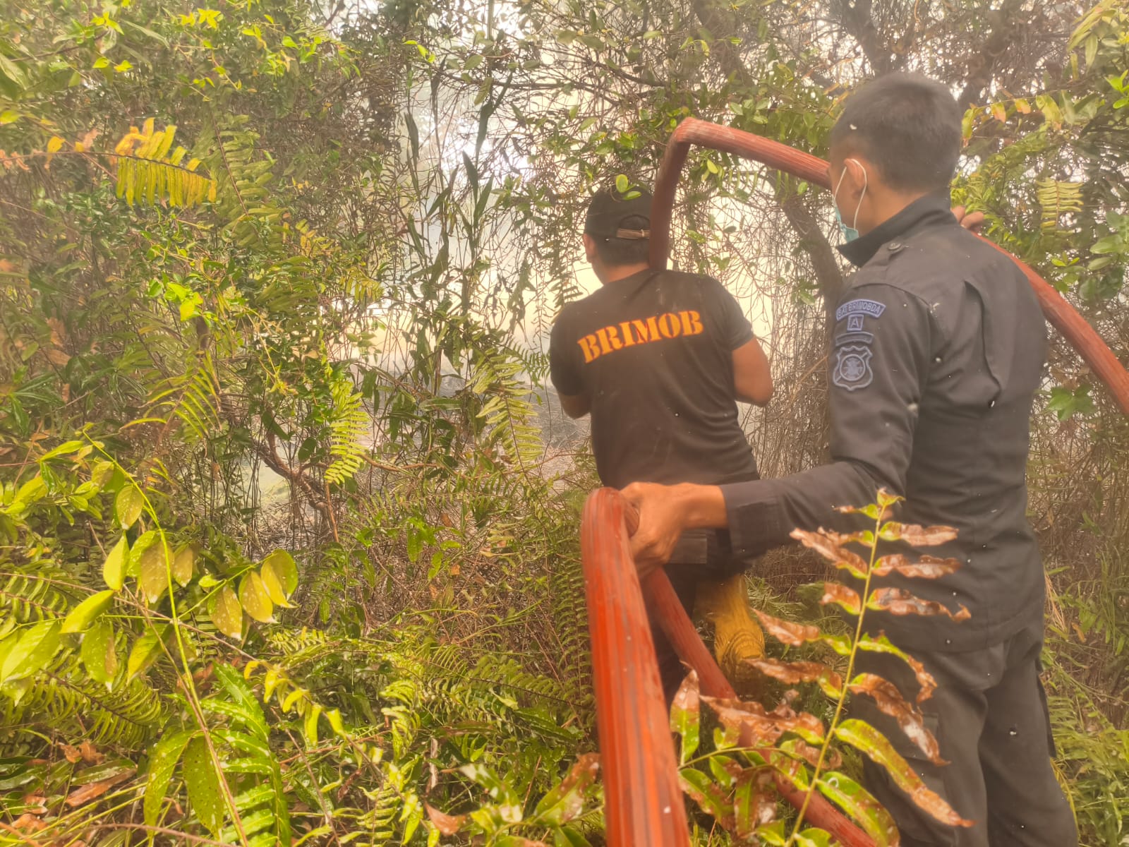 Satbrimob Polda Kalteng Lakukan Pemadaman Karhutla di Jalan Sanang Sabaru